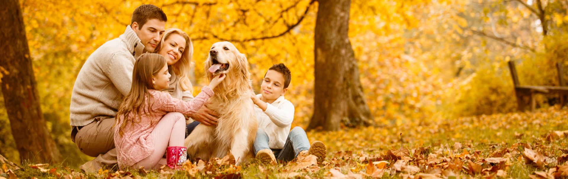 Family-and-dog-in-autumn-park-header.jpg